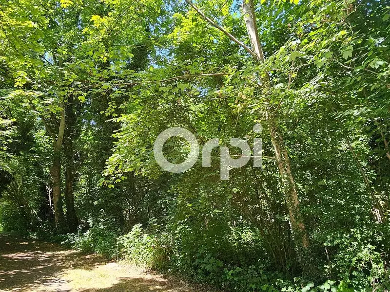 Terrain, 2 415 m²