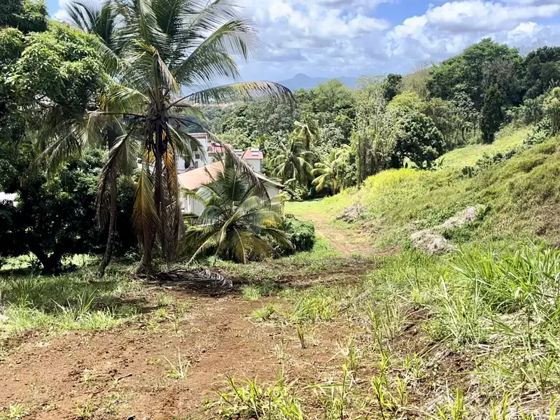 Terrain, 556 m²