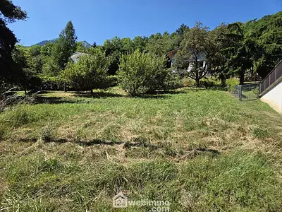 Terrain