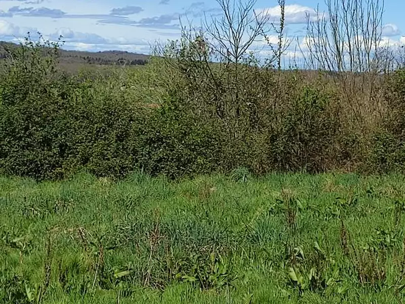 Terrain, 1 427 m²
