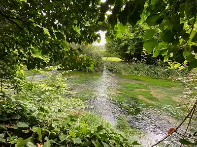 Terrain, 832 m²