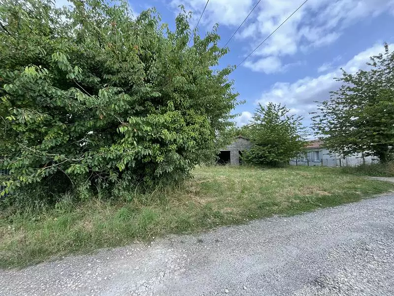 Terrain, 2 005 m²