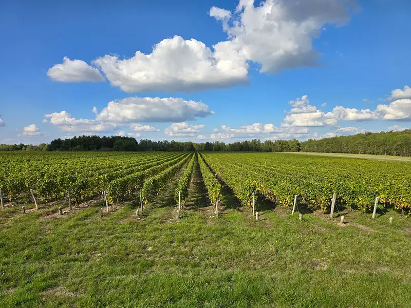 Terrain, 188 525 m²