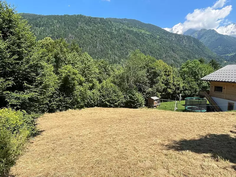 Terrain