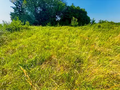 Terrain, 1 200 m²