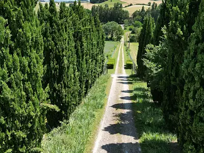 Maison, 396 m²