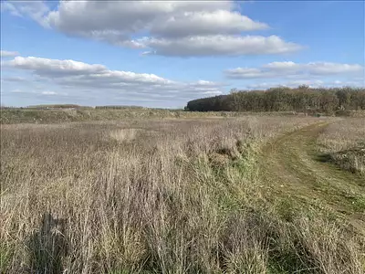 Terrain, 736 m²