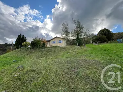 Terrain