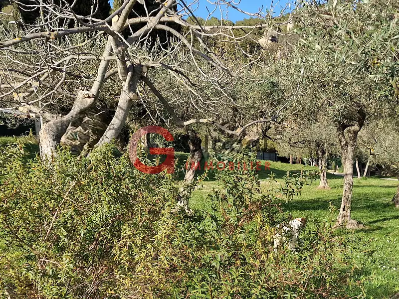Terrain, 1 037 m²