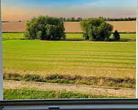 Appartement, 74,4 m²