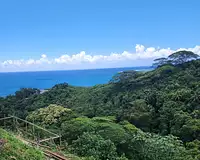 Terrain, 827 m²