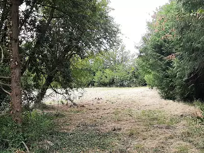 Terrain, 8 940 m²
