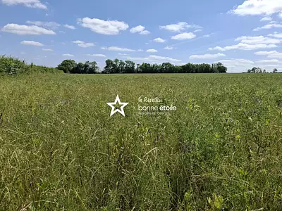 Terrain, 120 000 m²