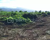 Terrain, 251 m²