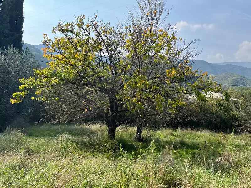 Terrain, 1 143 m²