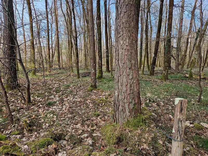 Terrain, 22 911 m²