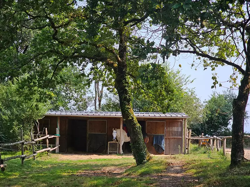 Maison, 181 m²
