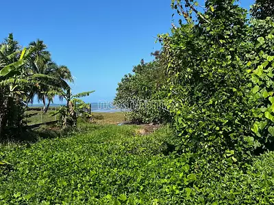 Terrain, 1 650 m²
