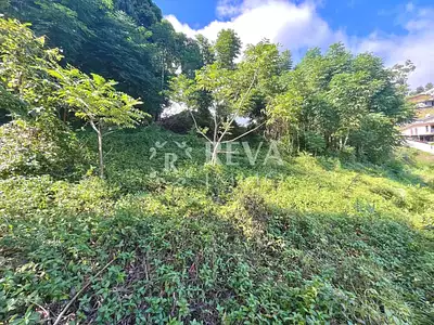 Terrain, 814 m²