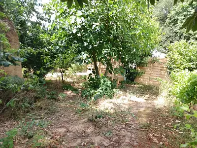 Maison, 30 m²