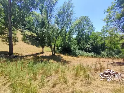 Terrain, 9 742 m²