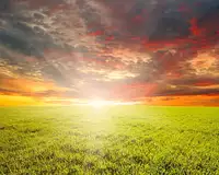 Terrain à bâtir, 556 m²