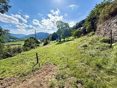 Terrain