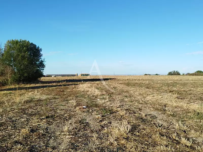Terrain, 698 m²