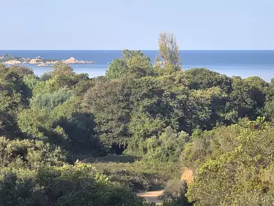 Appartement, 45,14 m²