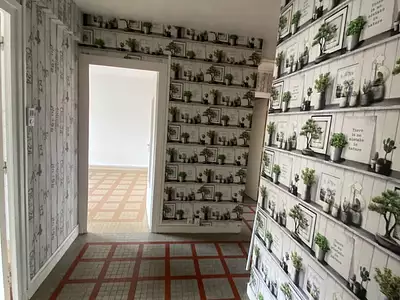 Appartement, 52,84 m²