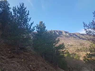 Terrain, 19 793 m²