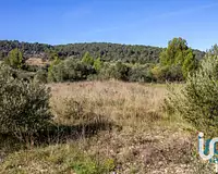 Terrain, 1 194 m²