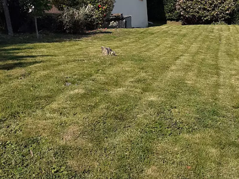 Maison, 76 m²