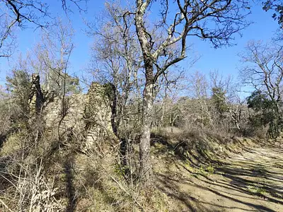 Terrain, 9 100 m²