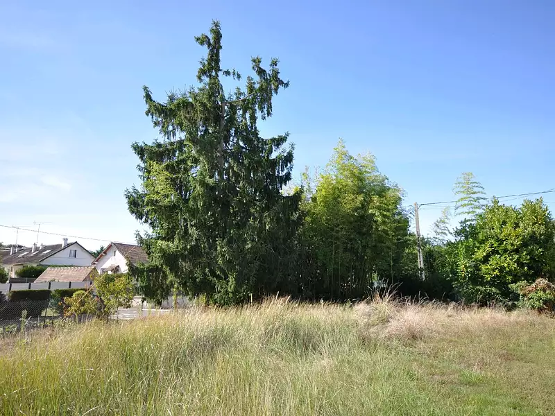 Terrain, 490 m²