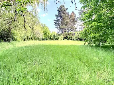 Terrain, 1 424 m²