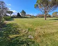 Terrain, 1 230 m²
