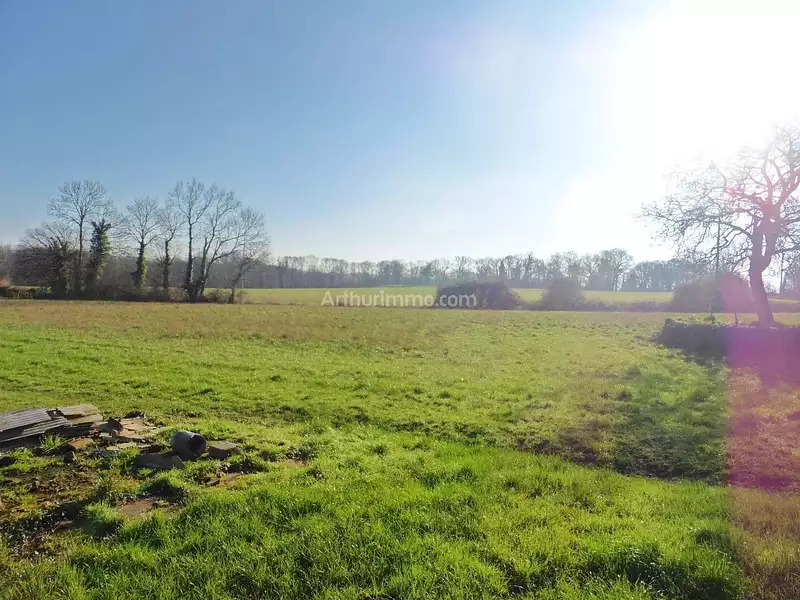 Terrain, 495 m²