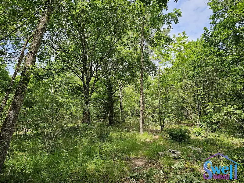 Terrain, 1 600 m²
