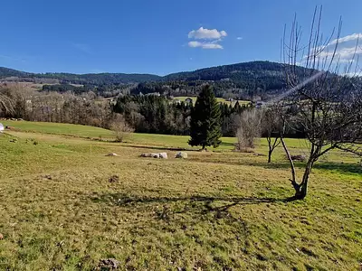 Terrain, 800 m²