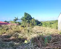Terrain, 728 m²