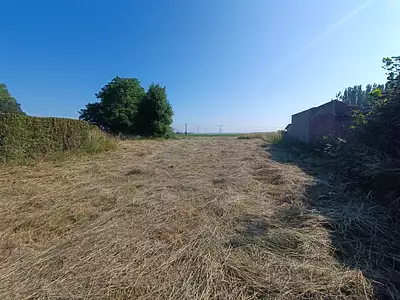 Terrain