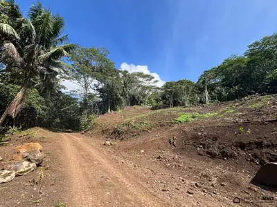 Terrain, 1 136 m²