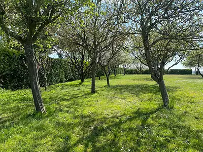 Terrain, 2 312 m²