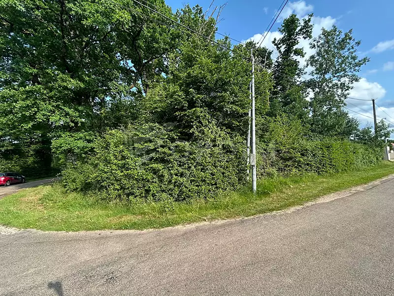 Terrain, 1 137 m²