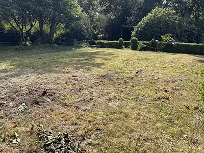 Terrain, 980 m²