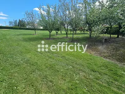 Terrain, 1 174 m²