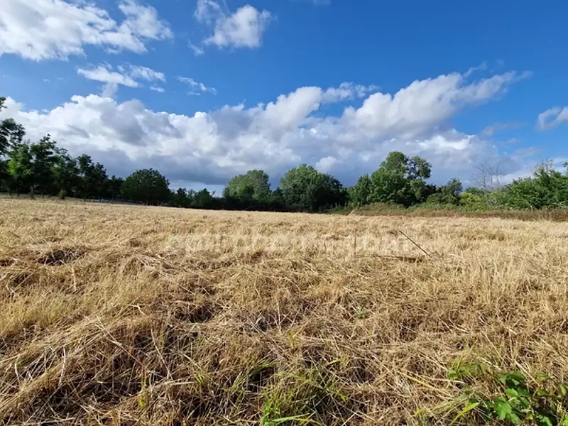 Terrain, 3 238 m²