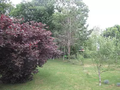 Terrain, 1 656 m²