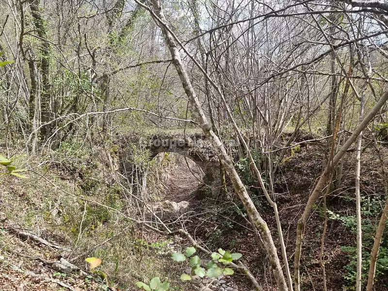 Terrain, 168 453 m²